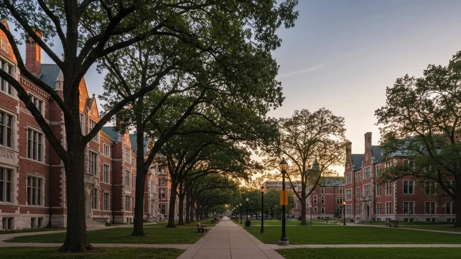 Editorial photograph of a tree-lined university quad in Champaign Illinois at golden hour with red-brick and limestone collegiate-Gothic academic buildings.