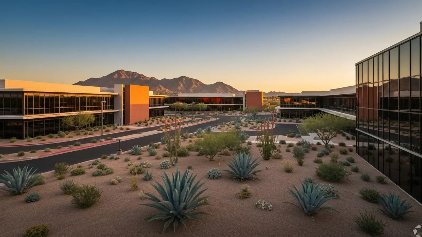 Editorial photograph of a modern Chandler Arizona corporate campus at golden hour with low-slung mid-century-modern office buildings, immaculate xeriscape landscaping, and South Mountain visible in the background.
